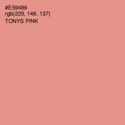 #E59489 - Tonys Pink Color Image